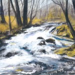 Stream In Somesville